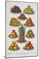 Assorted Fruits Including Pineapple-Isabella Beeton-Mounted Giclee Print