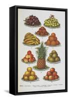 Assorted Fruits Including Pineapple-Isabella Beeton-Framed Stretched Canvas