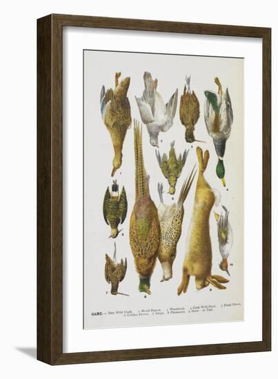 Assorted Game Including Rabbit, Duck, Snipe, Pigeon and Pheasants-Isabella Beeton-Framed Giclee Print