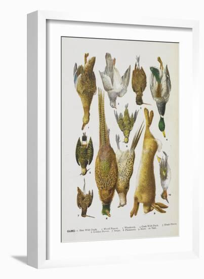 Assorted Game Including Rabbit, Duck, Snipe, Pigeon and Pheasants-Isabella Beeton-Framed Giclee Print