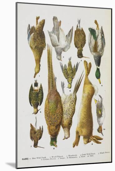 Assorted Game Including Rabbit, Duck, Snipe, Pigeon and Pheasants-Isabella Beeton-Mounted Giclee Print