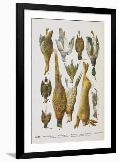 Assorted Game Including Rabbit, Duck, Snipe, Pigeon and Pheasants-Isabella Beeton-Framed Giclee Print