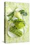 Assorted Green Vegetables on Porcelain Plate-Ulrike Koeb-Stretched Canvas