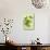 Assorted Green Vegetables on Porcelain Plate-Ulrike Koeb-Photographic Print displayed on a wall