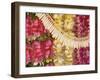 Assorted Hawaiian Leis, Hanging In Bright, Colorful Strands, Studio Shot-Design Pics-Framed Photographic Print