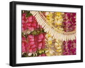 Assorted Hawaiian Leis, Hanging In Bright, Colorful Strands, Studio Shot-Design Pics-Framed Photographic Print
