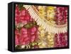 Assorted Hawaiian Leis, Hanging In Bright, Colorful Strands, Studio Shot-Design Pics-Framed Stretched Canvas
