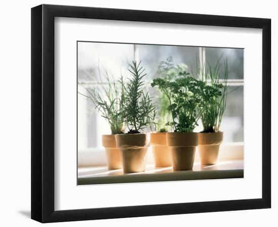 Assorted Herbs Growing in Clay Pots; Window Sill-Eising Studio - Food Photo and Video-Framed Photographic Print