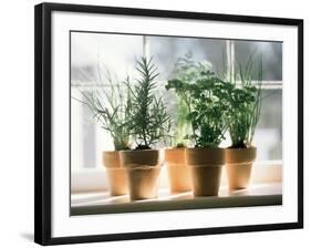 Assorted Herbs Growing in Clay Pots; Window Sill-Eising Studio - Food Photo and Video-Framed Photographic Print