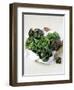 Assorted Lettuce Heads-Kit Latham-Framed Photographic Print