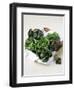 Assorted Lettuce Heads-Kit Latham-Framed Photographic Print