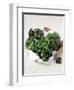 Assorted Lettuce Heads-Kit Latham-Framed Photographic Print