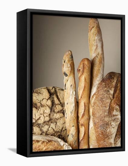 Assorted Loaves of Bread and Baguettes-Joerg Lehmann-Framed Stretched Canvas