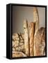 Assorted Loaves of Bread and Baguettes-Joerg Lehmann-Framed Stretched Canvas