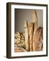 Assorted Loaves of Bread and Baguettes-Joerg Lehmann-Framed Photographic Print