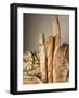 Assorted Loaves of Bread and Baguettes-Joerg Lehmann-Framed Photographic Print