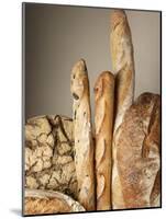 Assorted Loaves of Bread and Baguettes-Joerg Lehmann-Mounted Photographic Print