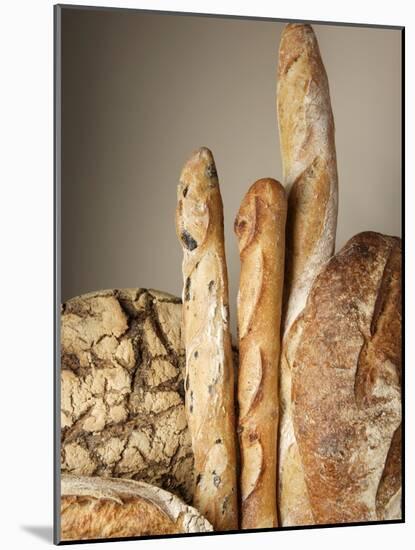 Assorted Loaves of Bread and Baguettes-Joerg Lehmann-Mounted Photographic Print