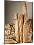 Assorted Loaves of Bread and Baguettes-Joerg Lehmann-Mounted Photographic Print