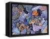 Assorted Minerals of the World-Walter Geiersperger-Framed Stretched Canvas