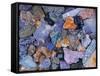 Assorted Minerals of the World-Walter Geiersperger-Framed Stretched Canvas