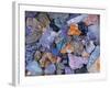 Assorted Minerals of the World-Walter Geiersperger-Framed Photographic Print