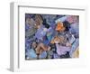 Assorted Minerals of the World-Walter Geiersperger-Framed Photographic Print