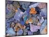 Assorted Minerals of the World-Walter Geiersperger-Mounted Photographic Print