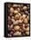 Assorted Nuts-Vladimir Shulevsky-Framed Stretched Canvas