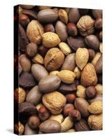 Assorted Nuts-Vladimir Shulevsky-Stretched Canvas
