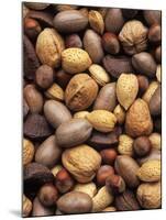 Assorted Nuts-Vladimir Shulevsky-Mounted Photographic Print