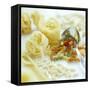 Assorted Pasta-David Munns-Framed Stretched Canvas