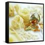 Assorted Pasta-David Munns-Framed Stretched Canvas