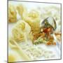 Assorted Pasta-David Munns-Mounted Premium Photographic Print