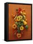 Assorted Peppers-Luzia Ellert-Framed Stretched Canvas