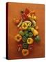 Assorted Peppers-Luzia Ellert-Stretched Canvas