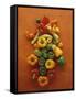 Assorted Peppers-Luzia Ellert-Framed Stretched Canvas