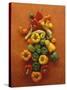 Assorted Peppers-Luzia Ellert-Stretched Canvas