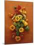 Assorted Peppers-Luzia Ellert-Mounted Photographic Print