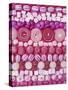 Assorted Pink Sweets-Linda Burgess-Stretched Canvas