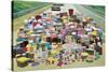 Assorted Plastic Household Containers on Highway-Found Image Press-Stretched Canvas