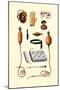 Assorted Rubber Medical Accessories-Jules Porges-Mounted Art Print