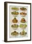 Assorted Salad Dishes-Isabella Beeton-Framed Giclee Print