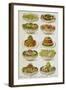 Assorted Salad Dishes-Isabella Beeton-Framed Giclee Print