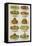 Assorted Salad Dishes-Isabella Beeton-Framed Stretched Canvas