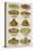 Assorted Salad Dishes-Isabella Beeton-Stretched Canvas