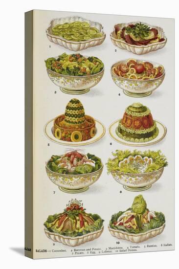 Assorted Salad Dishes-Isabella Beeton-Stretched Canvas