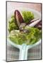 Assorted Salad Leaves in Plastic Strainer-Foodcollection-Mounted Photographic Print