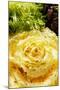 Assorted Salad Leaves with Yellow Radicchio-Foodcollection-Mounted Photographic Print