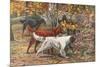 Assorted Setters-Louis Agassiz Fuertes-Mounted Premium Giclee Print